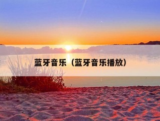 蓝牙音乐（蓝牙音乐播放）