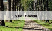 尖组词（尖组词拼音）