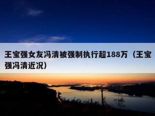 王宝强女友冯清被强制执行超188万（王宝强冯清近况）