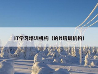 IT学习培训机构（的it培训机构）