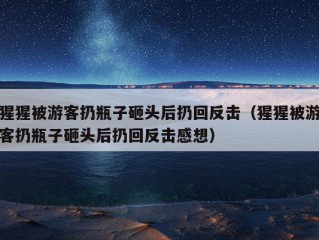 猩猩被游客扔瓶子砸头后扔回反击（猩猩被游客扔瓶子砸头后扔回反击感想）