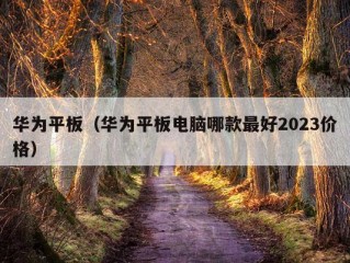 华为平板（华为平板电脑哪款最好2023价格）