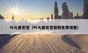 叶凡唐若雪（叶凡唐若雪视频免费观看）