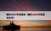 图片2023手机壁纸（图片2023手机壁纸女生）