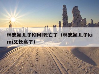 林志颖儿子KIMI死亡了（林志颖儿子kimi又长高了）