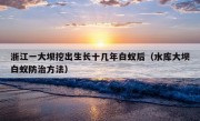 浙江一大坝挖出生长十几年白蚁后（水库大坝白蚁防治方法）