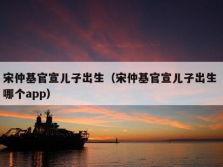 宋仲基官宣儿子出生（宋仲基官宣儿子出生 哪个app）