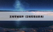 王晓军被双开（王晓军现任职务）