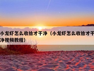 小龙虾怎么收拾才干净（小龙虾怎么收拾才干净视频教程）