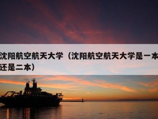 沈阳航空航天大学（沈阳航空航天大学是一本还是二本）