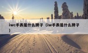 iwc手表是什么牌子（iw手表是什么牌子）