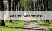 运动会作文（运动会作文500字）