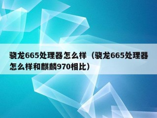 骁龙665处理器怎么样（骁龙665处理器怎么样和麒麟970相比）