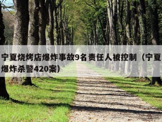 宁夏烧烤店爆炸事故9名责任人被控制（宁夏爆炸杀警420案）