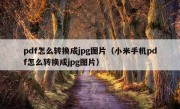 pdf怎么转换成jpg图片（小米手机pdf怎么转换成jpg图片）