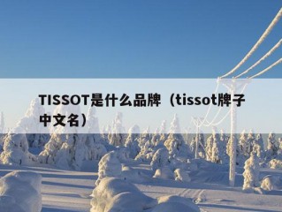 TISSOT是什么品牌（tissot牌子中文名）