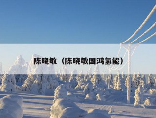 陈晓敏（陈晓敏国鸿氢能）