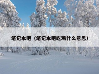 笔记本吧（笔记本吧吃鸡什么意思）