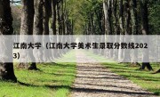 江南大学（江南大学美术生录取分数线2023）