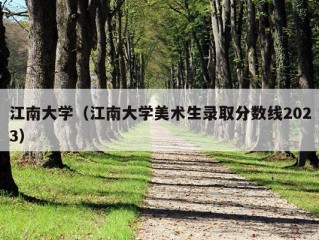 江南大学（江南大学美术生录取分数线2023）