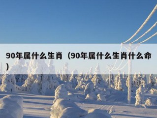 90年属什么生肖（90年属什么生肖什么命）