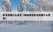 卧龙凤雏什么意思（网络语言卧龙凤雏什么意思）