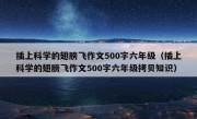 插上科学的翅膀飞作文500字六年级（插上科学的翅膀飞作文500字六年级拷贝知识）