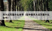 月入过万是什么水平（在中国月入过万是什么水平）