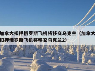 加拿大扣押俄罗斯飞机将移交乌克兰（加拿大扣押俄罗斯飞机将移交乌克兰2）