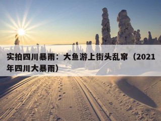 实拍四川暴雨：大鱼游上街头乱窜（2021年四川大暴雨）