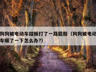 狗狗被电动车踏板打了一路屁股（狗狗被电动车碾了一下怎么办?）