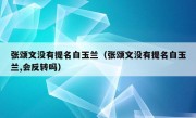 张颂文没有提名白玉兰（张颂文没有提名白玉兰,会反转吗）