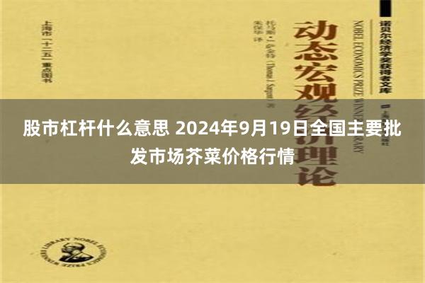 股市杠杆什么意思 2024年9月19日全国主要批发市场芥菜价格行情