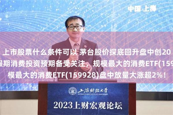 上市股票什么条件可以 茅台股价探底回升盘中创2020年5月以来新低，假期消费投资预期备受关注，规模最大的消费ETF(159928)盘中放量大涨超2%！