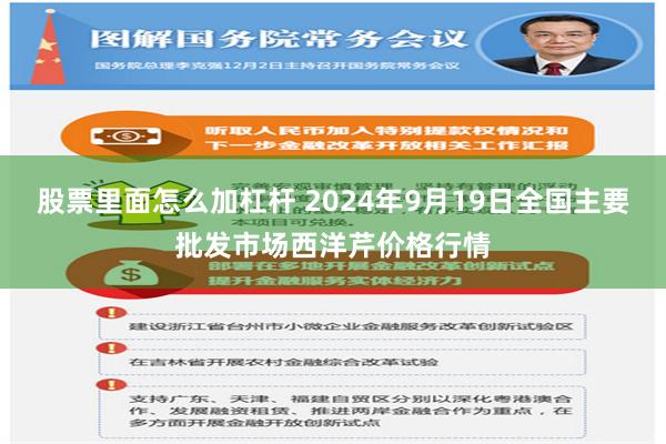 股票里面怎么加杠杆 2024年9月19日全国主要批发市场西洋芹价格行情