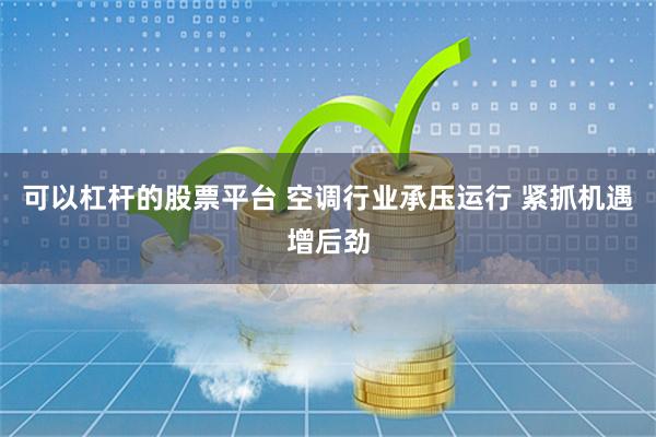 可以杠杆的股票平台 空调行业承压运行 紧抓机遇增后劲