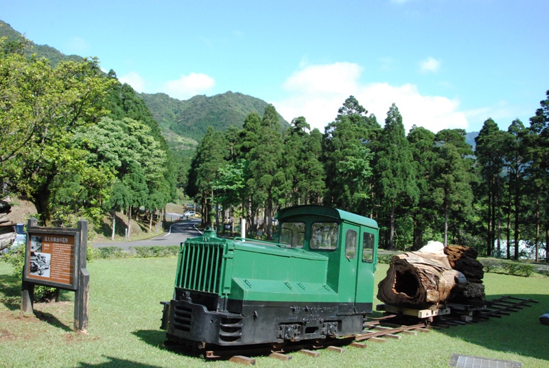 屋久島の木材