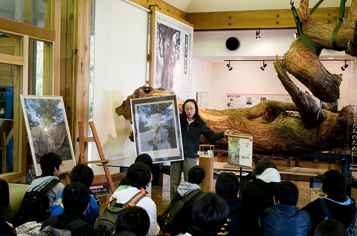 修学旅行にも対応