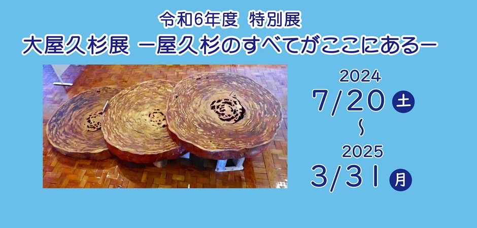 特別展「大屋久杉展―屋久杉のすべてがここにある―」