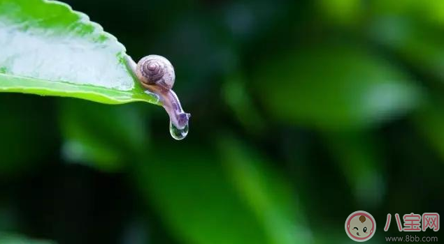 外面下雨了孩子不能出去玩 试试做这些事情吧