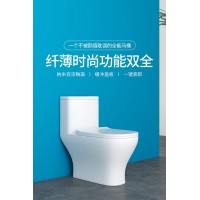 愛尚衛(wèi)浴普通坐便器AS-W6021