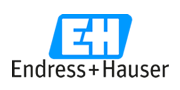 Endress+Hauser