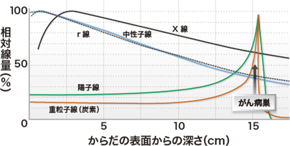 図1