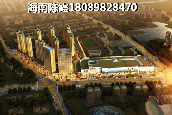 五指山的房子未来会生纸吗？