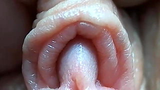 Clitoris close-up