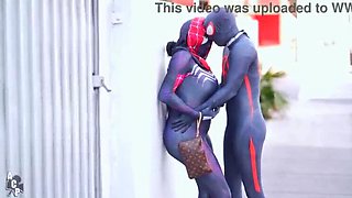 Spiderman's Journey Through the Feline Cosmos Featuring Ebony Enigma & Gibby The Harlequin