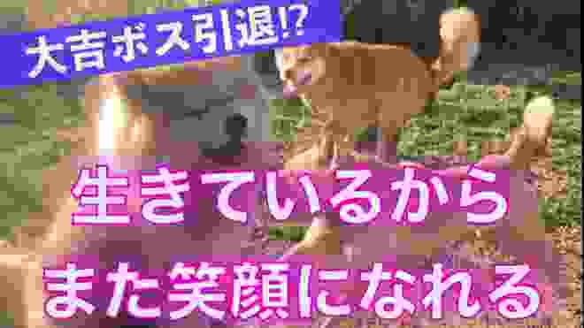 【殺処分寸前レスキュー】脳障害と言われた鉄くん、初めての仲間ができました❗️