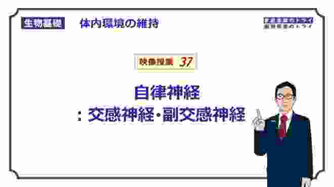 【生物基礎】　体内環境の維持37　自律神経：交感神経・副交感神経　（１８分）