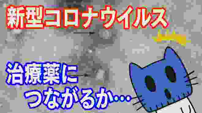 治療薬ができるといいな…新型コロナウイルス【マスクにゃんニュース】