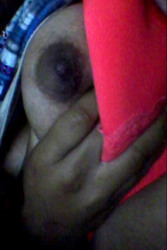 Chichonas Amateur 16